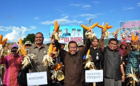 BPS: Produksi Jagung Naik 9,83%, Kedelai 0,04% dan Padi 5%